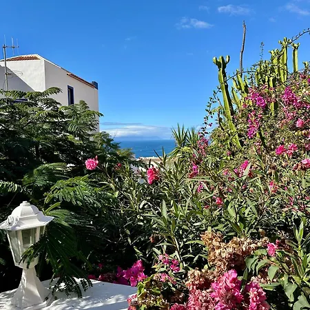 Cosy Ocean View&garden * Costa Adeje (Tenerife)