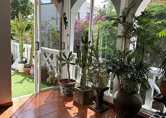 Cosy Ocean View & Garden *