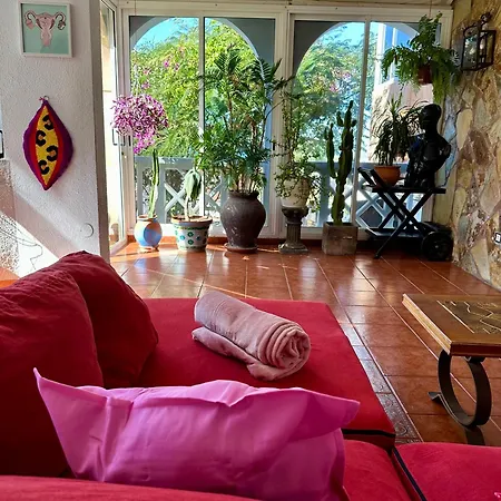 Cosy Ocean View & Garden Apartment *