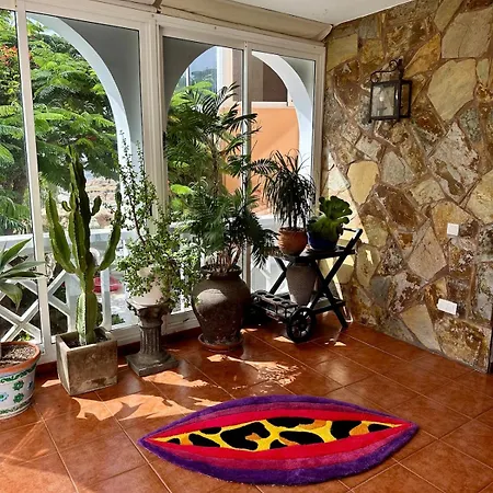 Cosy Ocean View & Garden Lejlighed *